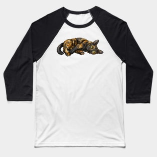 Cute Tortoiseshell Cat Baseball T-Shirt